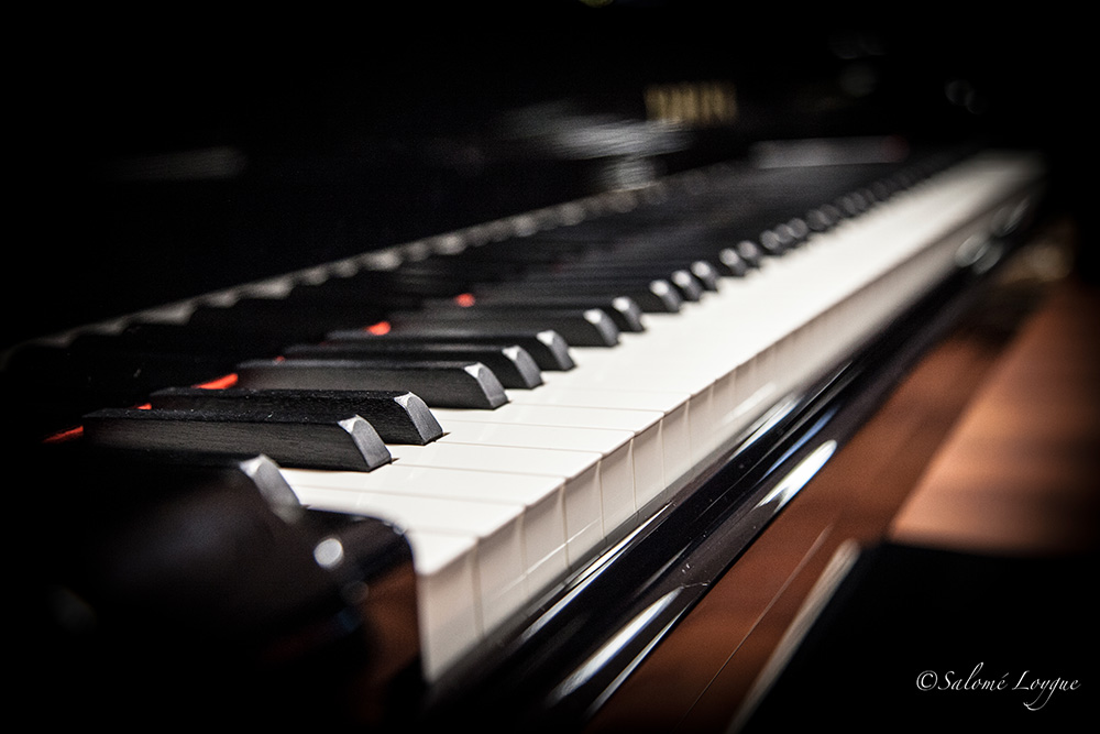 magasin-musique-caen-music-hemann-location-piano-concert